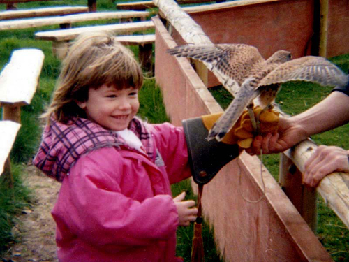 Hawk Conservatory (Andover)